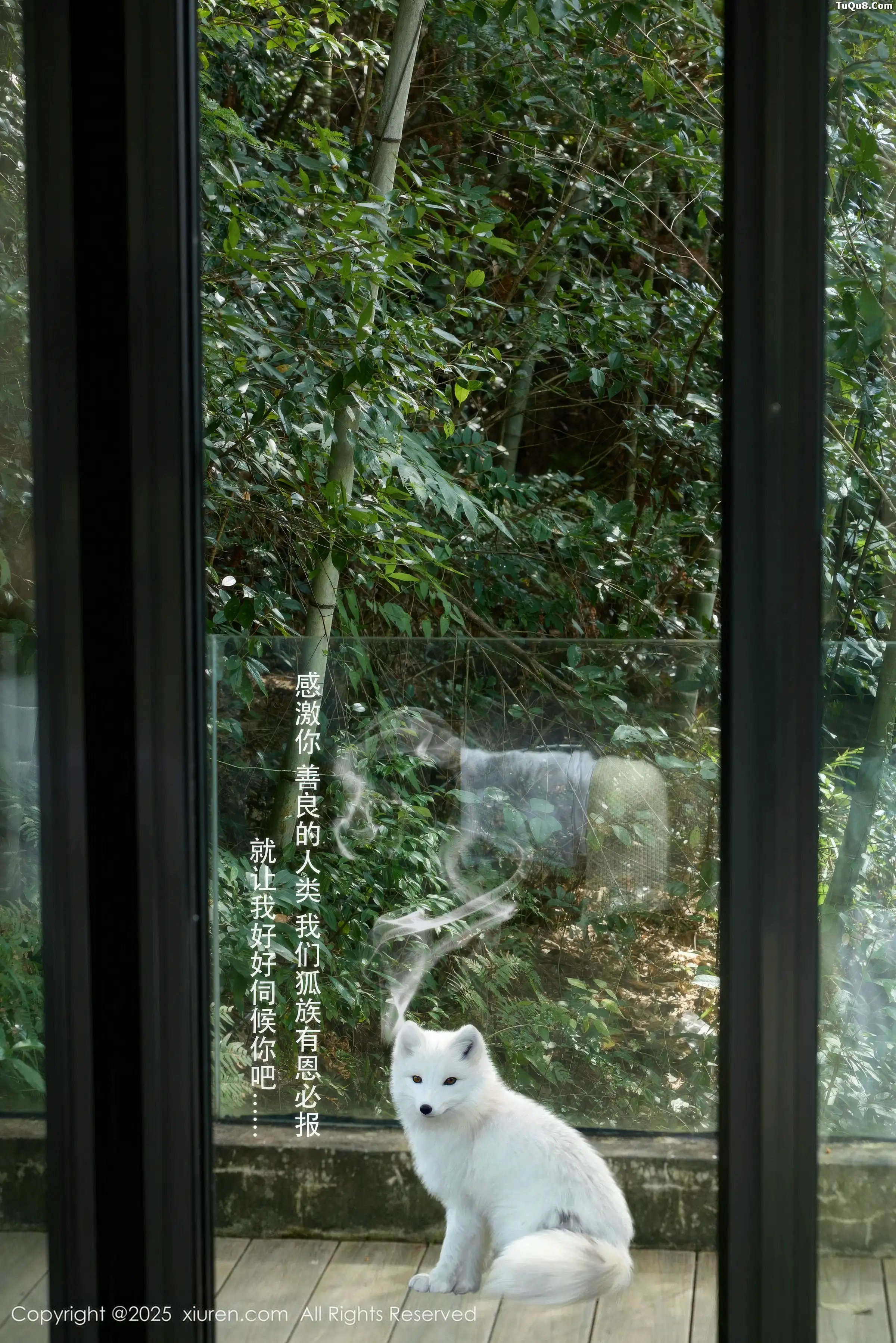 Xrmnw.Vip_尹甜甜_合集 Xrmnw.Vip_尹甜甜_写真